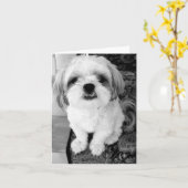 かわいいシーズー(犬)のTzuのメッセージカード カード (黄色い花)