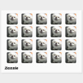 かわいいシーズー(犬)チュカメラを見て スクエアシール (シート)