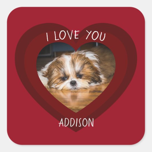 かわいいシーズー(犬)愛バレンタインハート写真 スクエアシール (正面)