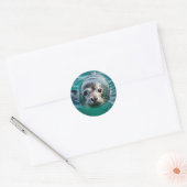 かわいいシールが水面から頭を突き出す ラウンドシール (封筒)