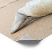 かわいいシール(ポーズ付けビーチ) ポスター (角)