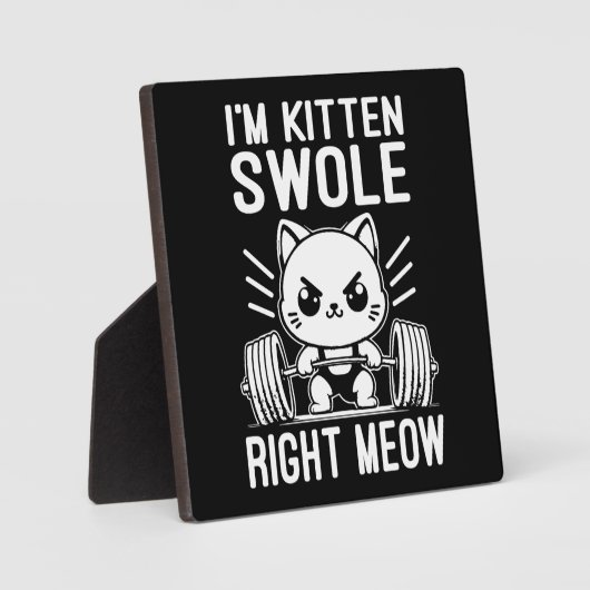 かわいいジムキャットおもしろい、右ミュー子ネコ フォトプラーク (正面)