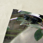 かわいいジャイアントパンダのクマ ビーチタオル (インサイチュ)