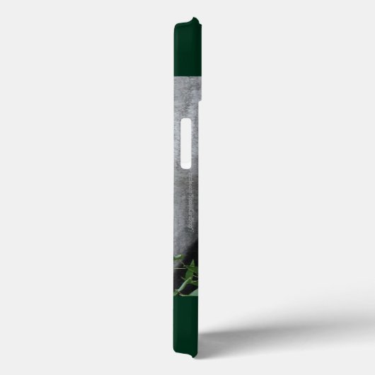 かわいいジャイアントパンダのダークグリーン背景、名前 Case-Mate iPhoneケース (裏面 / 右)