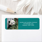 かわいいジャイアントパンダ熊，ターコイズ,差出人住所 ラベル (インサイチュ)