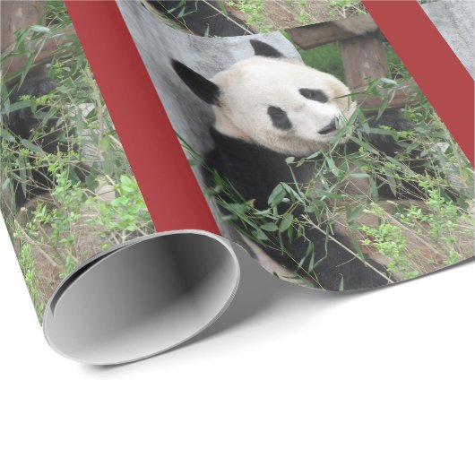 かわいいジャイアントパンダ赤 ラッピングペーパー (ロールコーナー)