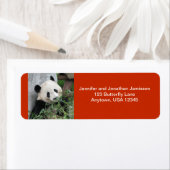 かわいいジャイアントパンダ、オレンジ差出人住所 ラベル (インサイチュ)