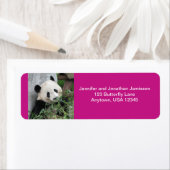 かわいいジャイアントパンダ、ホットピンク差出人住所 ラベル (インサイチュ)