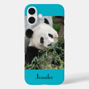 かわいいジャイアントパンダ、青い背景、名前をカスタムする iPhone 16 PLUSケース