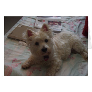 かわいいジャッキカード!