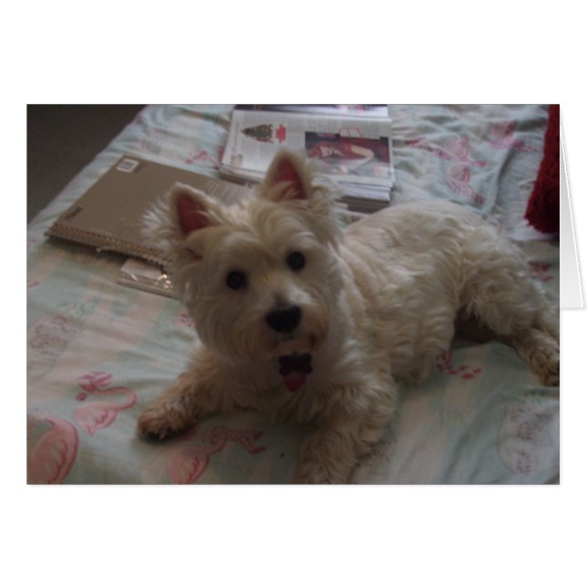 かわいいジャッキカード! (正面横)