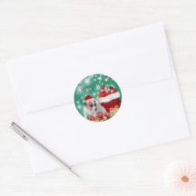 かわいいジャックラッセルテリアのメリークリスマス♡