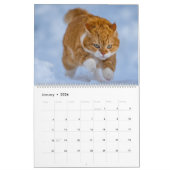 かわいいジンジャーキャットカレンダー2023 カレンダー (1月 2026)