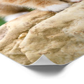 かわいいジンジャーキャットキットインフラワーガーデンのペット写真 ポスター (角)