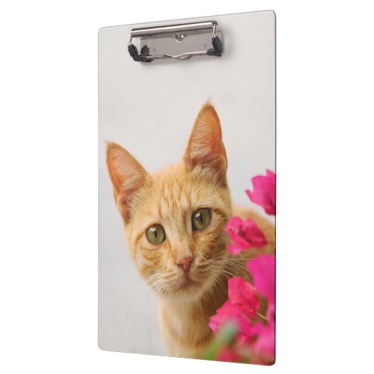 かわいいジンジャーキャットキットウォッチングパーソナライズされた- クリップボード (左)
