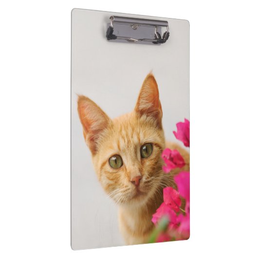 かわいいジンジャーキャットキットウォッチングパーソナライズされた- クリップボード (右)