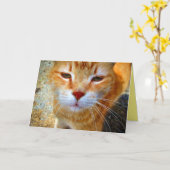 かわいいジンジャーフレンドリー子猫小猫 カード (黄色い花)