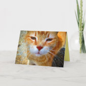 かわいいジンジャーフレンドリー子猫小猫 カード (正面)