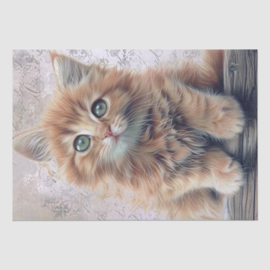 かわいいジンジャーフワフワの子猫 薄葉紙 (正面)