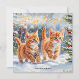 かわいいジンジャーペットの子猫たち メリークリスマス シーズンカード