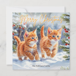 かわいいジンジャーペットの子猫たち メリークリスマス シーズンカード