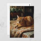 かわいいジンジャー子猫はがき ポストカード (正面/裏面)