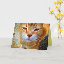 かわいいジンジャー子猫 友好的な小さな猫 カード