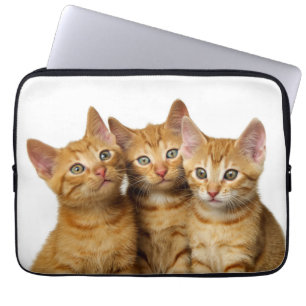 かわいいジンジャー猫の子猫たち3人がヘッドフォト – ラップトップスリーブ