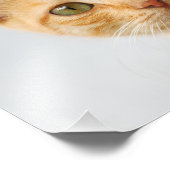 かわいいジンジャー猫ネコがポートレートを見ている フォトプリント (角)