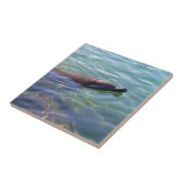 かわいいスイミングイルカ タイル (側面)