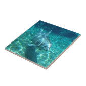 かわいいスイミングイルカ タイル (側面)