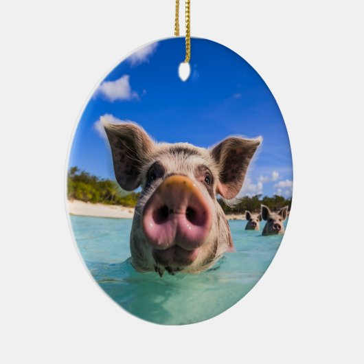 かわいいスイミングピグエクスマバハマ セラミックオーナメント (右)