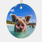 かわいいスイミングピグエクスマバハマ セラミックオーナメント (左)