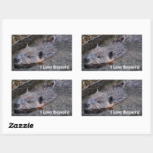 かわいいスイミングワイルドビーバー野生生物写真 長方形シール (シート)