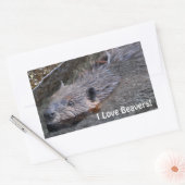 かわいいスイミングワイルドビーバー野生生物写真 長方形シール (封筒)