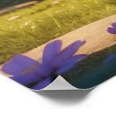 *~*かわいいスイーツAP68 2:3キットンオレンジ虎猫 ポスター (角)