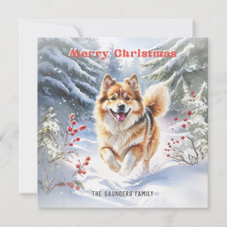 かわいいスウェディッシュ・ラップフントの犬の雪のメリークリスマス シーズンカード