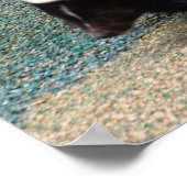 かわいいスカンクのポスター ポスター (角)