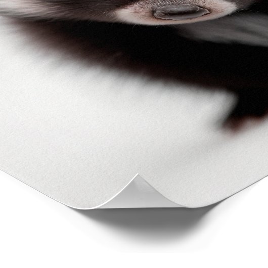 かわいいスカンクの赤ちゃんのポートレート | 1:1 ポスター (角)