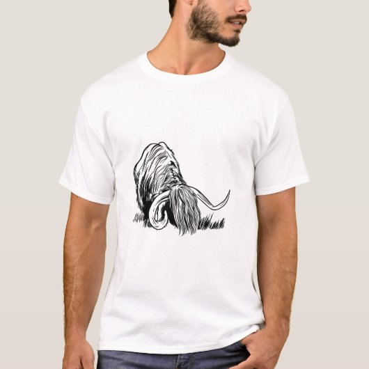 かわいいスコットランドのハイランドカウ Tシャツ (正面)