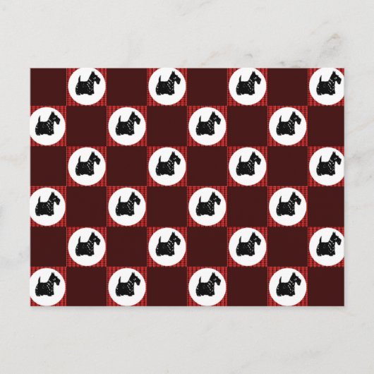 かわいいスコットランド犬 ポストカード (正面)