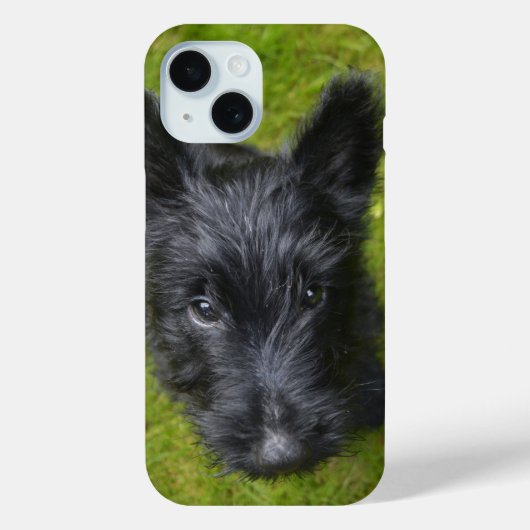 かわいいスコティッシュテリアの仔犬の顔 Case-Mate iPhoneケース (裏面)