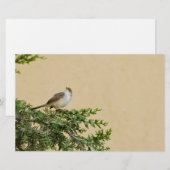かわいいスズメの鳥の写真 便箋 (正面/裏面)