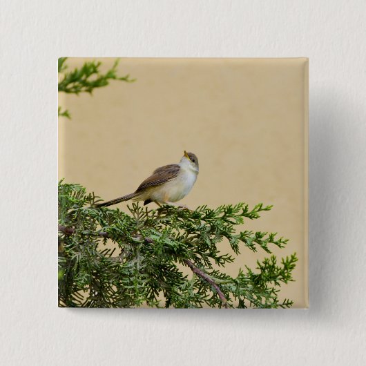 かわいいスズメの鳥の写真 缶バッジ (正面)