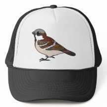 かわいいスズメ