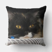 かわいいスタッディング猫 クッション (正面)