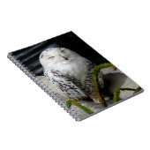 かわいいスノーフクロウ ノートブック (右側)