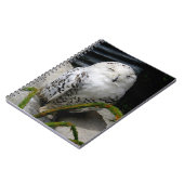 かわいいスノーフクロウ ノートブック (左側)