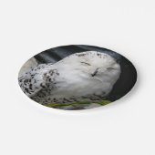 かわいいスノーフクロウ ペーパープレート (アングル)