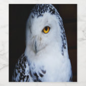 かわいいスノーフクロウ ワインラベル (シングルラベル)